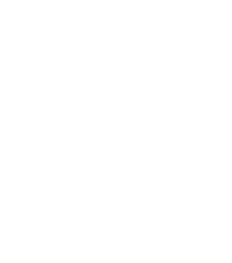 Thunderbolt logo icon.