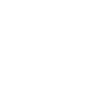 Twin10G SFP+ (Thunderbolt 2 Edition) Icon